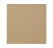 Champagne leather