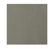 Light Grey Leather