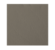 Mushroom leather